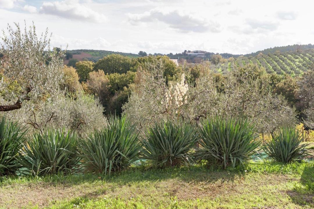 Photo of Others in Giano dell'Umbria