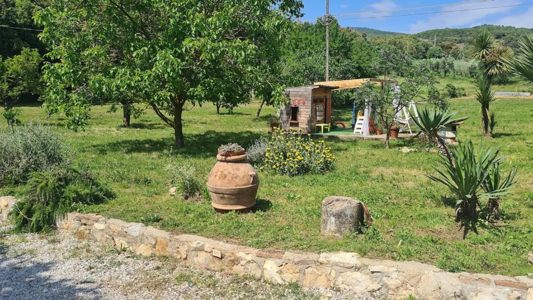 Photo of Others in Campiglia Marittima
