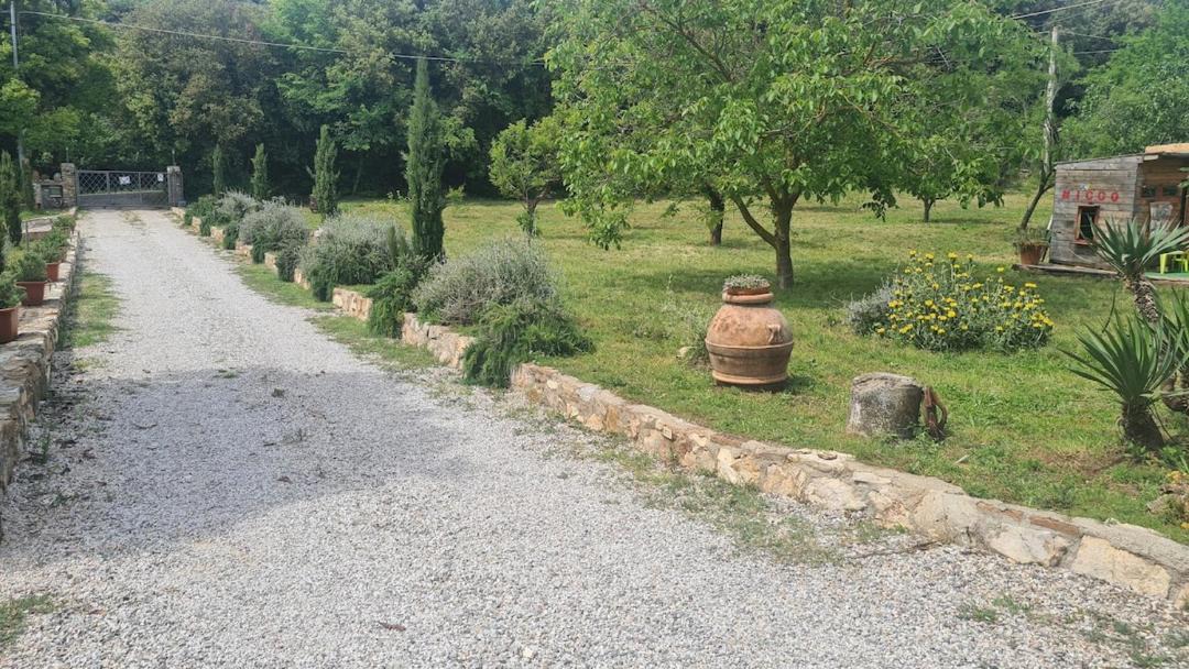 Photo of Others in Campiglia Marittima