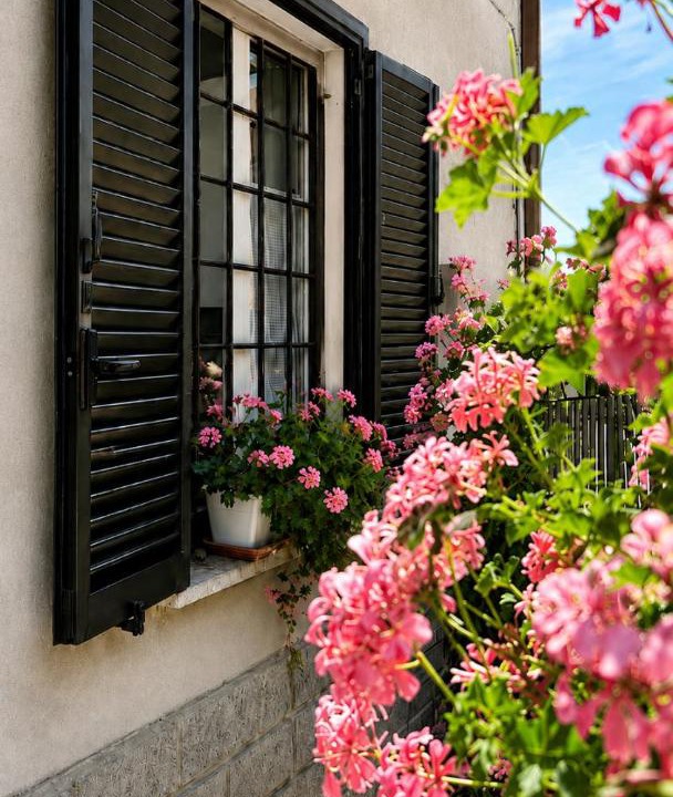 Photo of Others in Castelnuovo di Porto