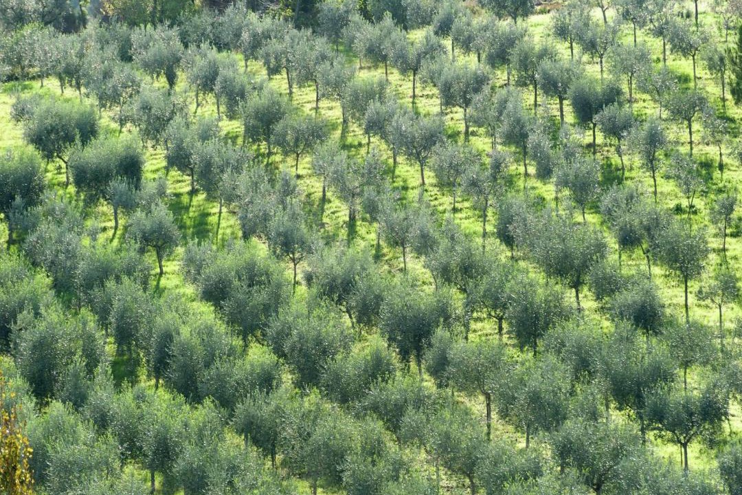 Photo of Others in Giano dell'Umbria