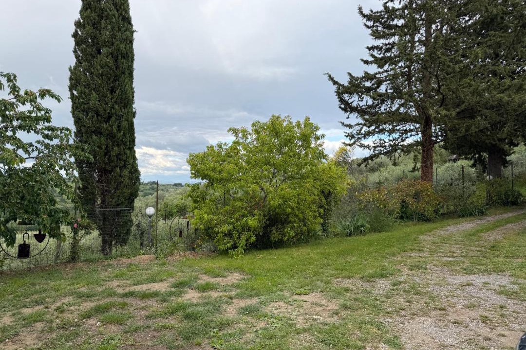 Photo of Others in San Gimignano