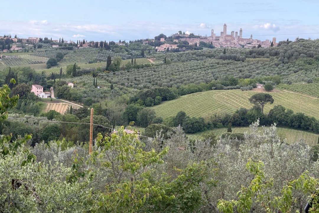 Photo of Others in San Gimignano