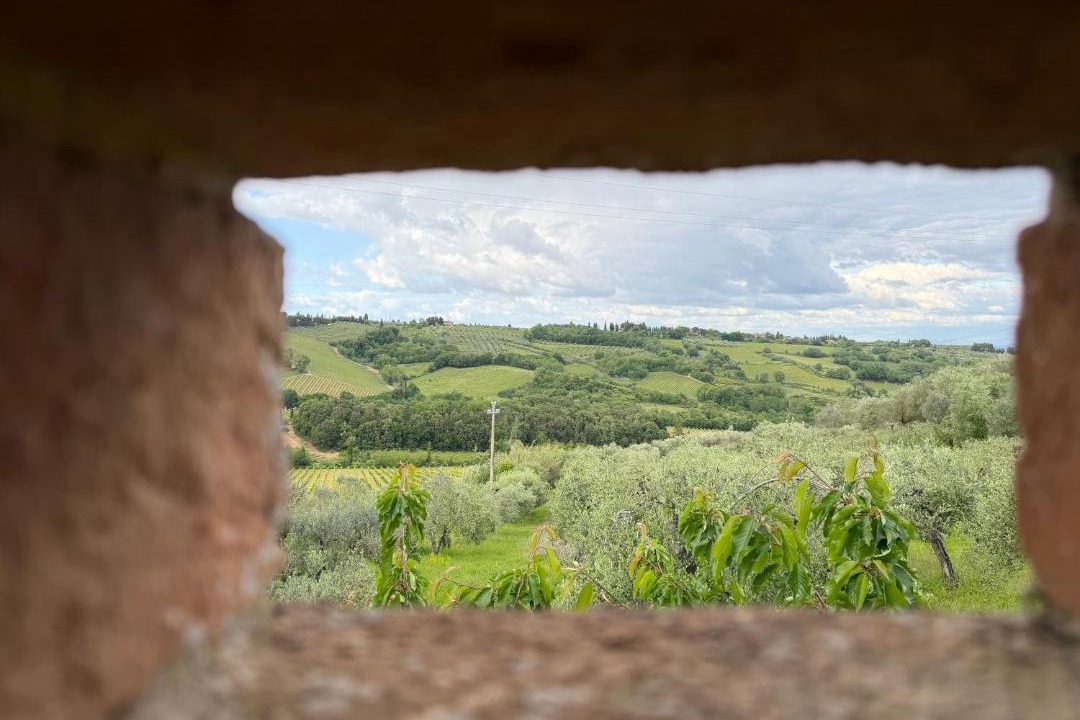 Photo of Others in San Gimignano