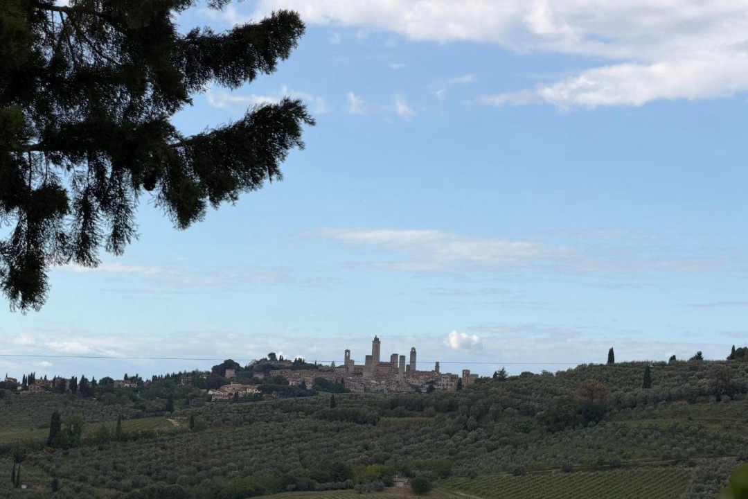 Photo of Others in San Gimignano