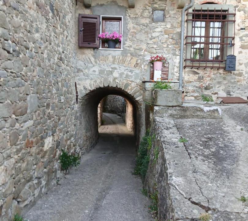 Photo of Others in Casola in Lunigiana