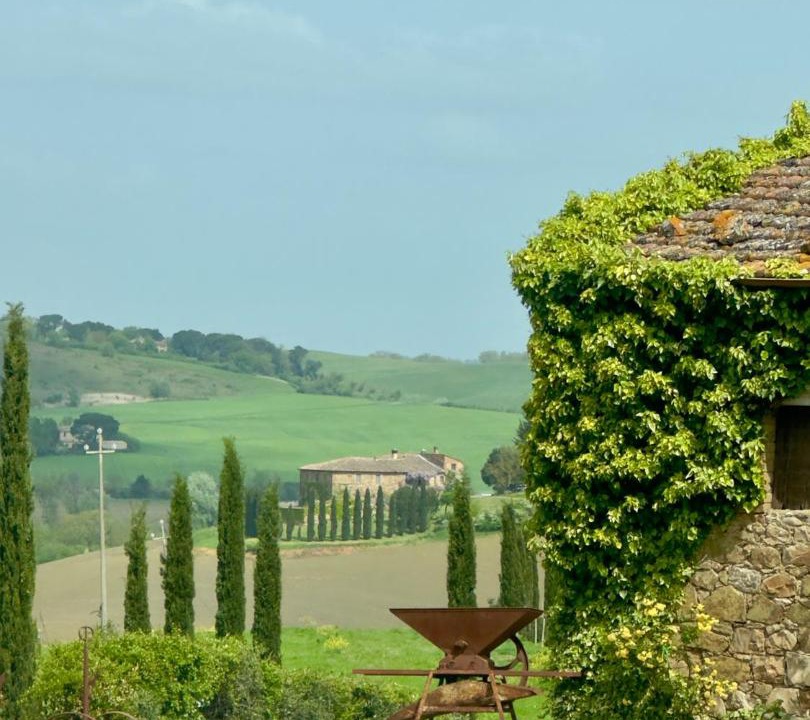 Photo of Others in Montalcino