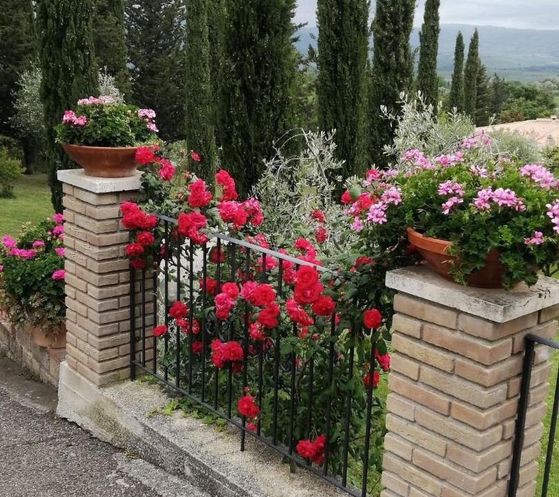 Photo of Others in Montemerano