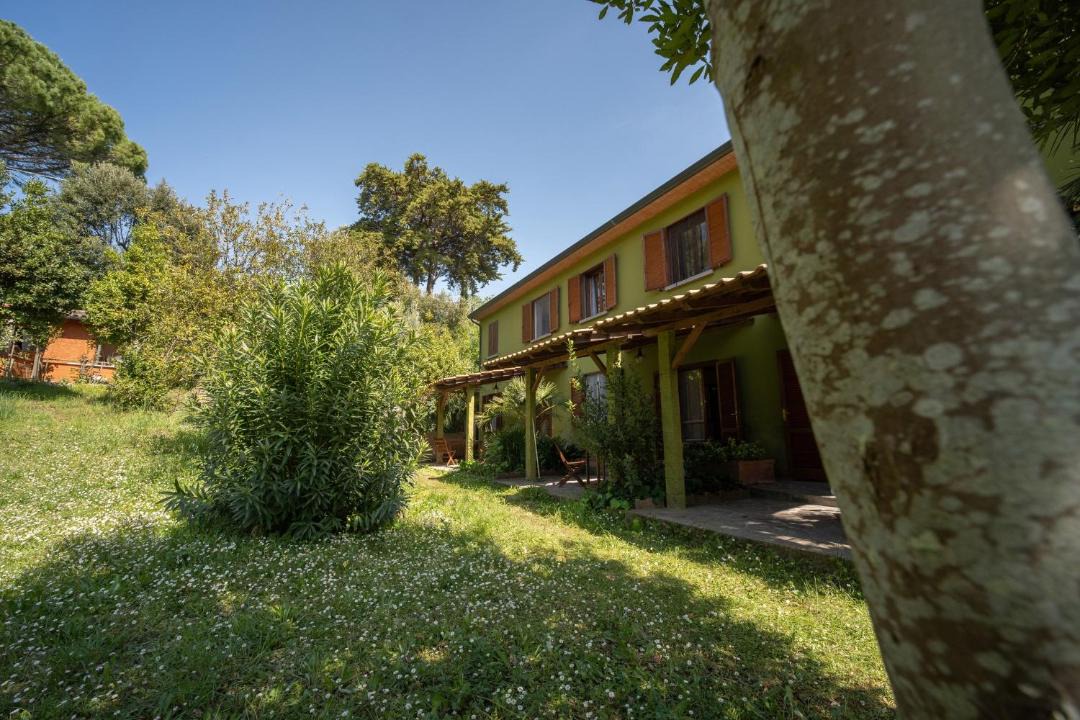 Photo of Others in Montescudaio