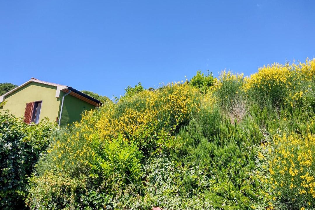 Photo of Others in Montescudaio
