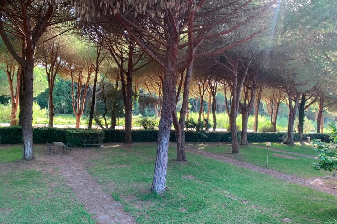 Photo of Others in Principina a Mare