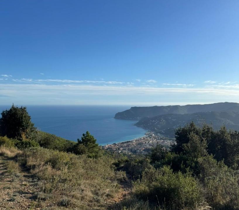 Photo of Others in Vado Ligure