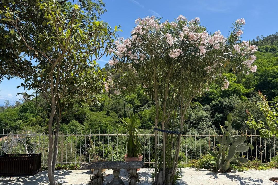 Photo of Others in Vado Ligure