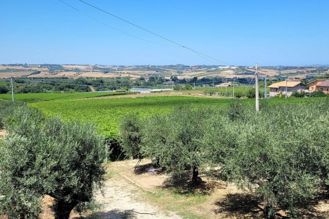 Photo of Others in Rosciano