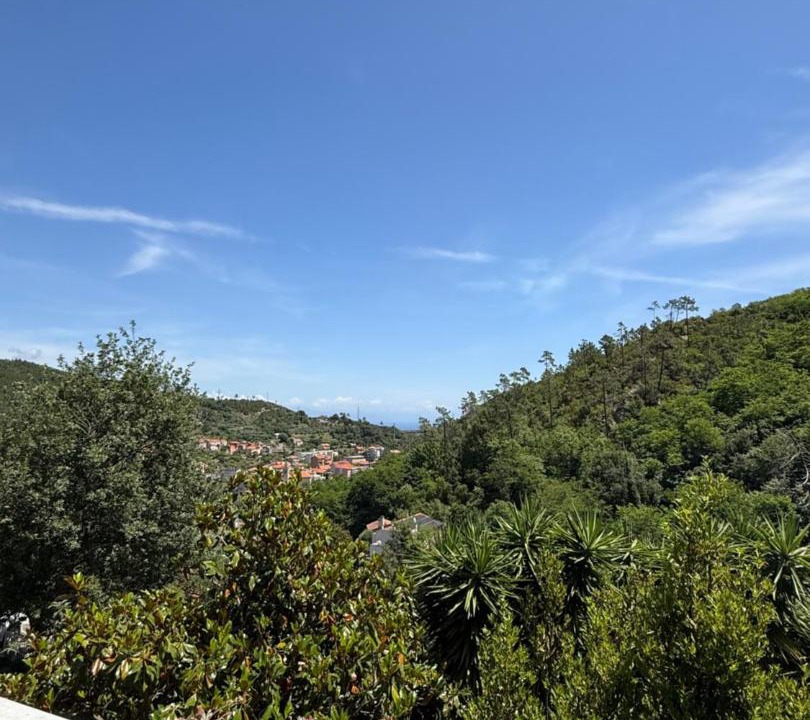 Photo of Others in Vado Ligure