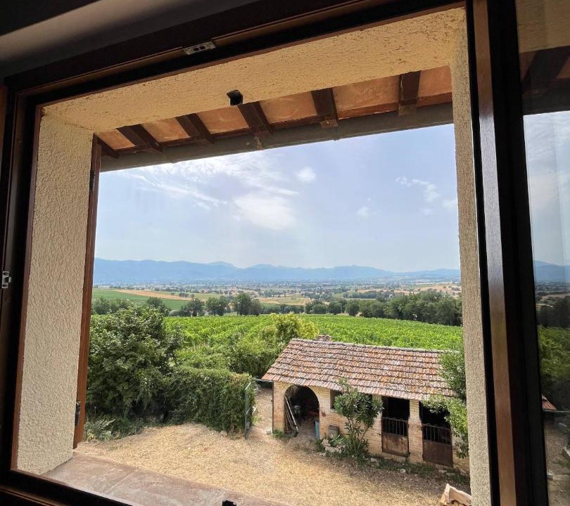 Photo of Others in Montefalco