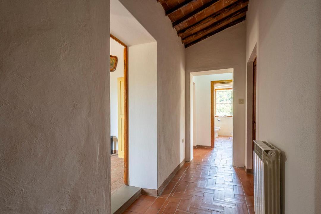 Photo of Others in Campiglia Marittima