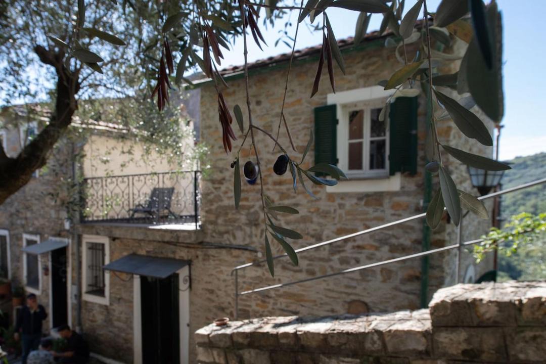Photo of Others in Praelo