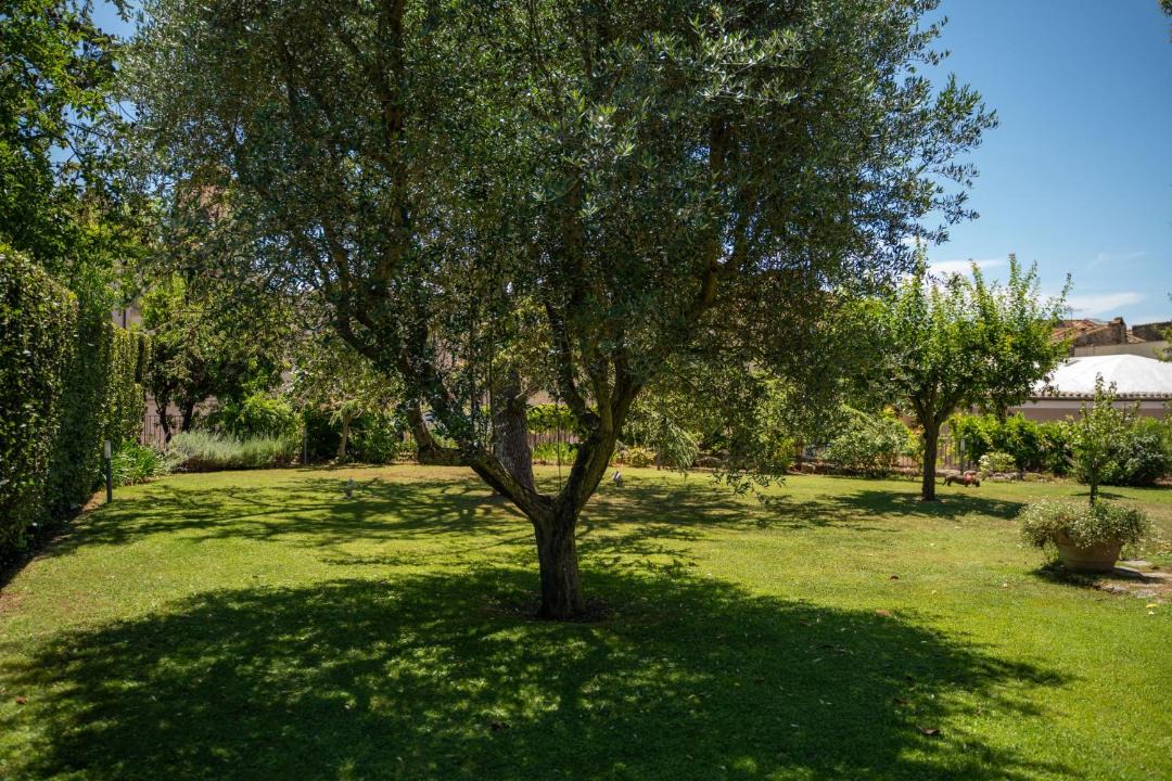 Photo of Others in Tarquinia