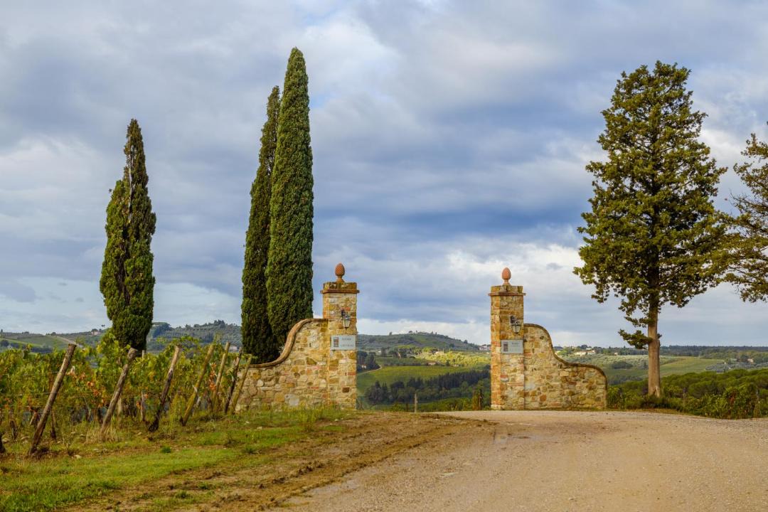 Photo of Others in Greve in Chianti