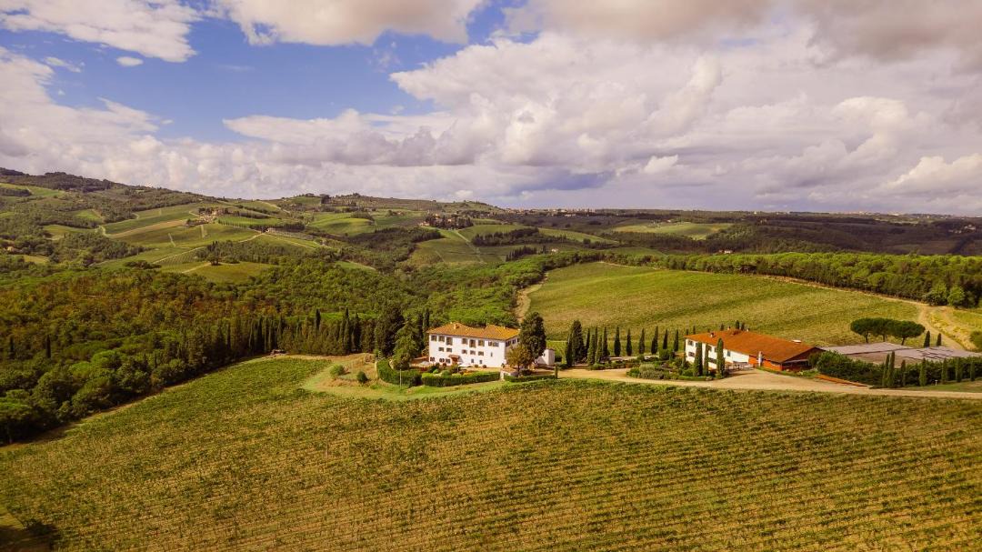 Photo of Others in Greve in Chianti
