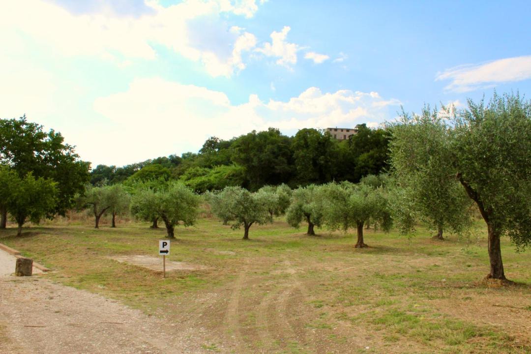 Photo of Others in Orte