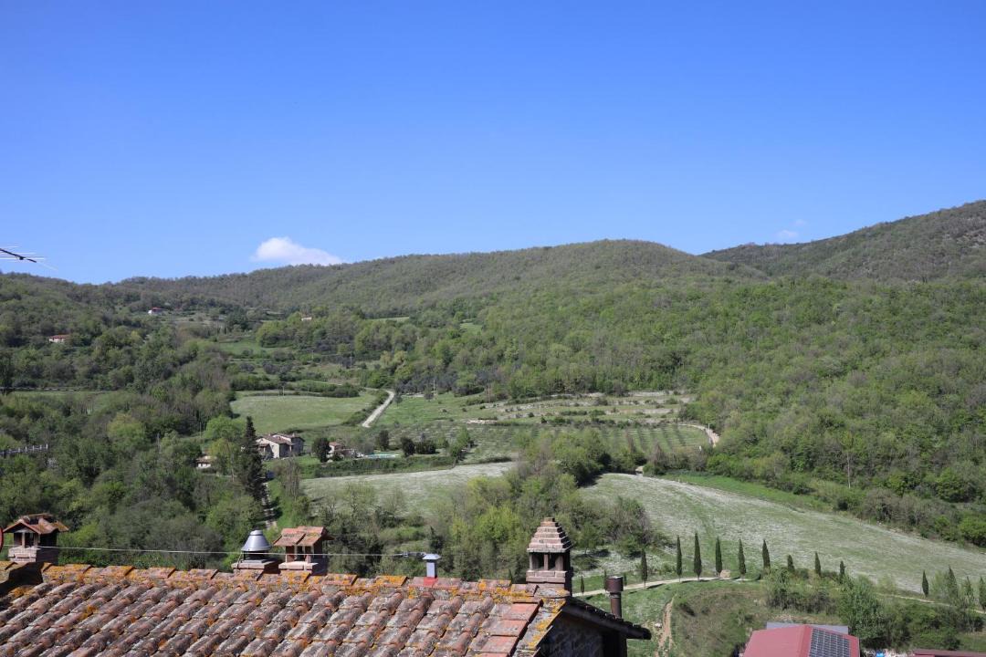 Photo of Others in Castel Focognano