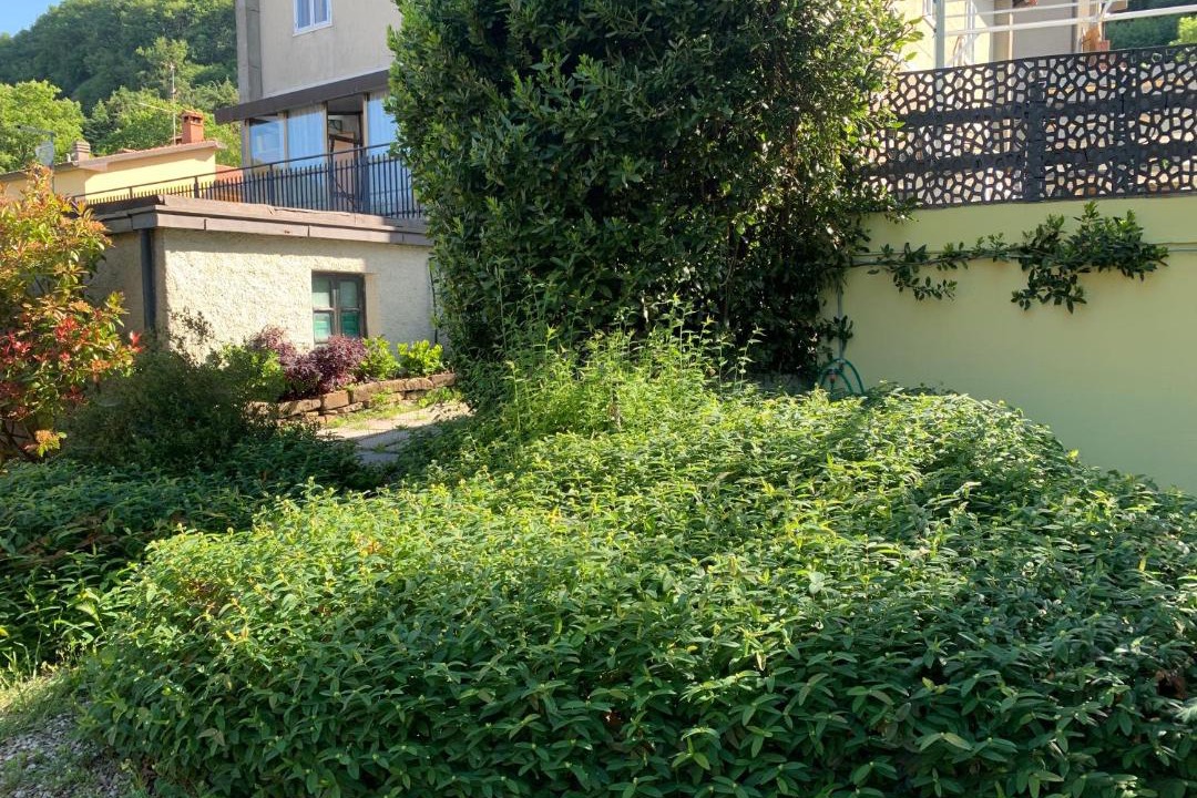 Photo of Others in Chiusi della Verna