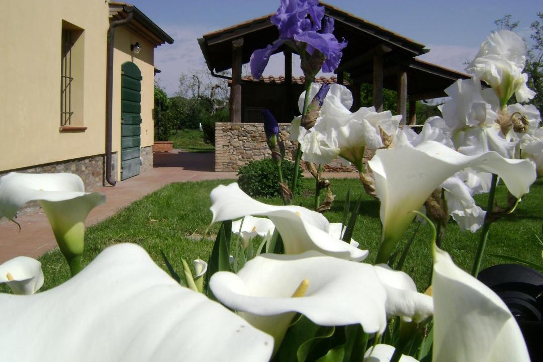 Photo of Others in Castagneto Carducci