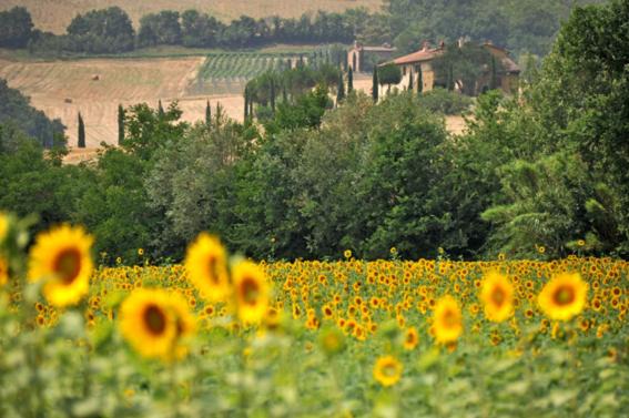 Photo of Others in Montecatini Val di Cecina