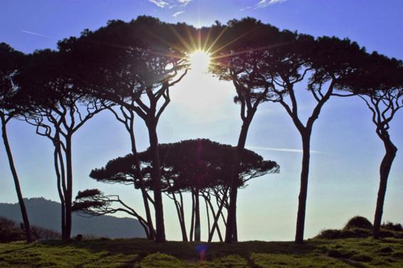 Photo of Others in Montecatini Val di Cecina