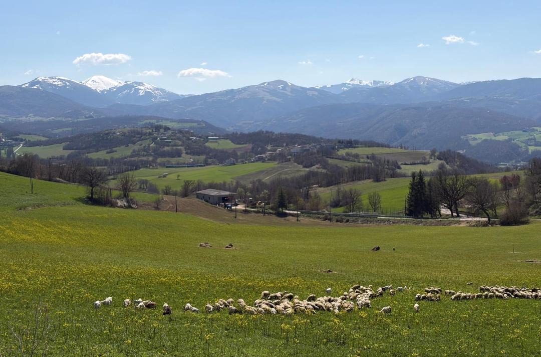 Photo of Others in Serravalle