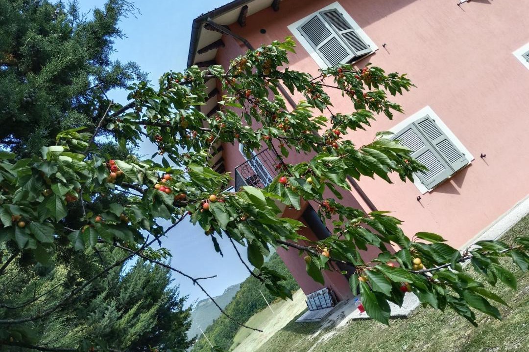 Photo of Others in Camerino