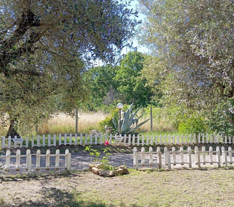 Photo of Others in Vetralla