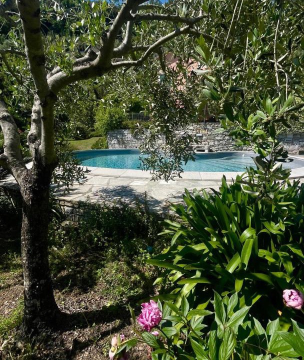 Photo of Others in Sestri Levante