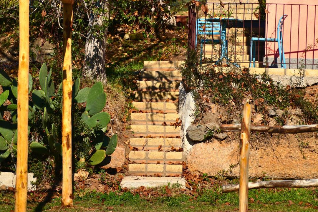 Photo of Others in Vetralla
