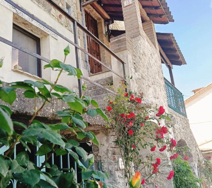 Photo of Others in Montecchio