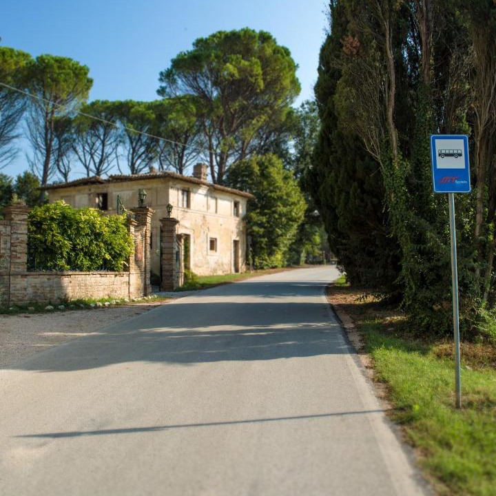 Photo of Others in Spello