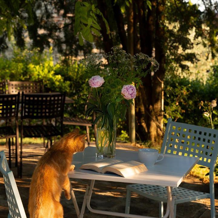 Photo of Others in Castiglione della Valle