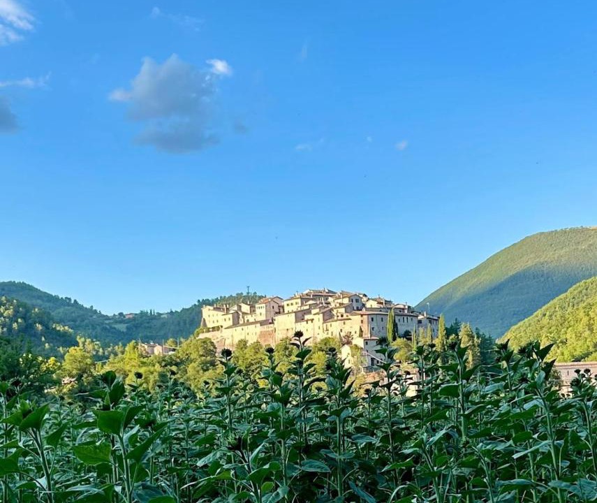 Photo of Others in Sant'Anatolia di Narco