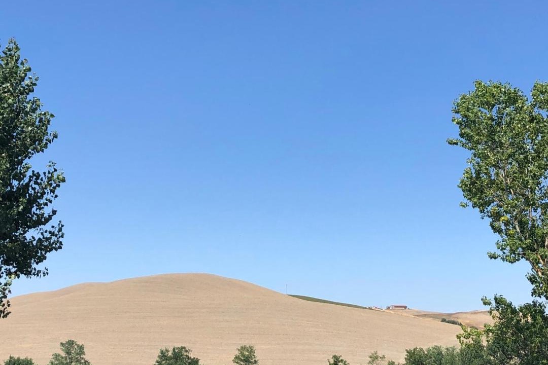 Photo of Others in Monteroni d'Arbia
