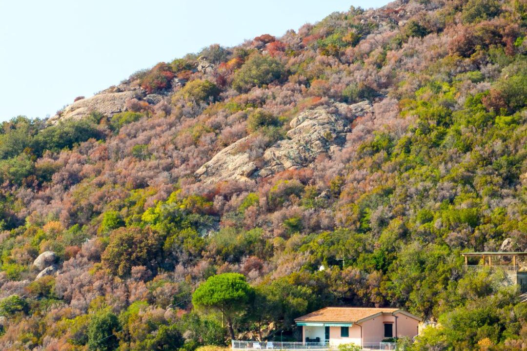 Photo of Outdoor in Scaglieri