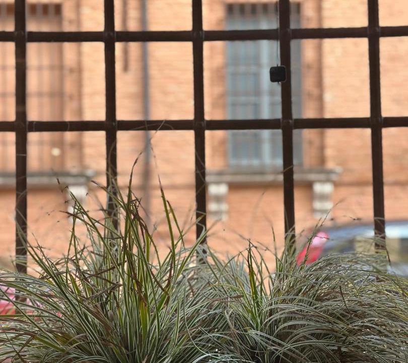 Photo of Others in Centro Urbano