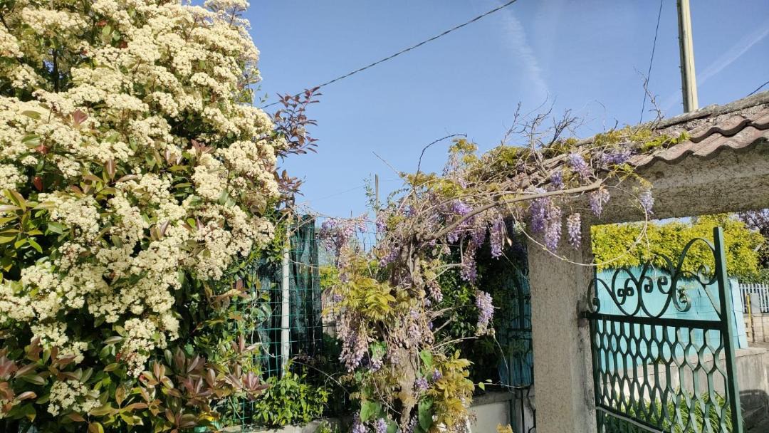 Photo of Outdoor in Alatri