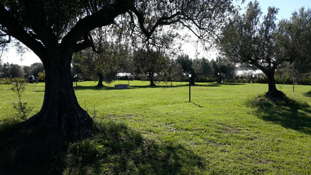 Photo of Others in Cerveteri
