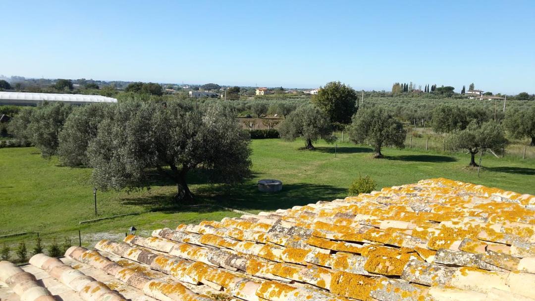 Photo of Others in Cerveteri