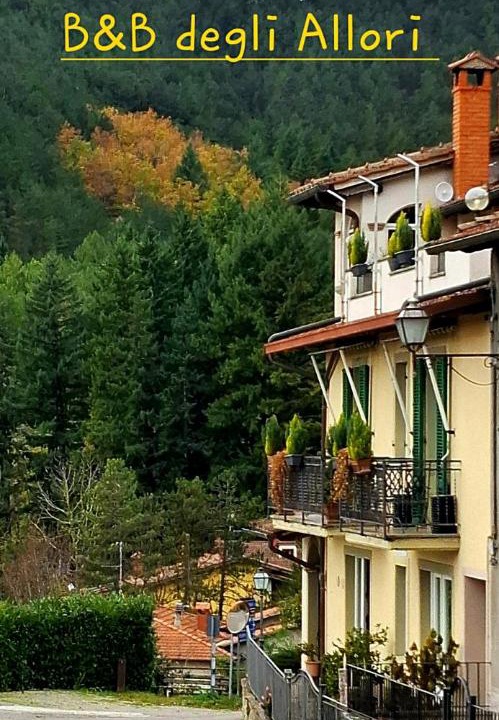Photo of Others in Moggiona