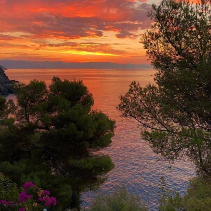 Photo of Others in Varazze