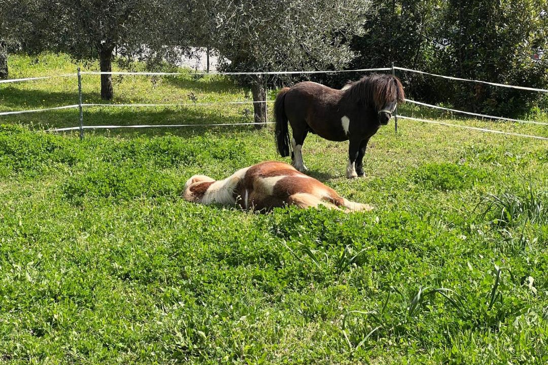 Photo of Others in Campo nell'Elba