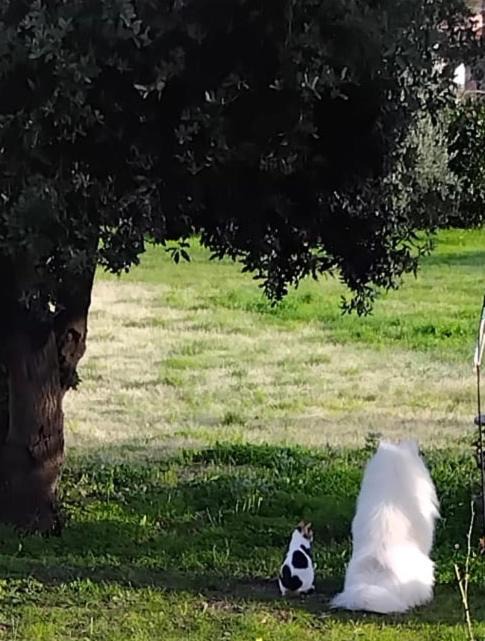 Photo of Outdoor in Campo nell'Elba
